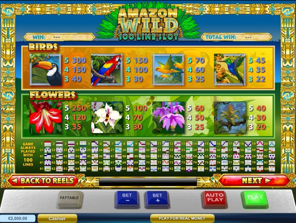 Таблица выплат слота