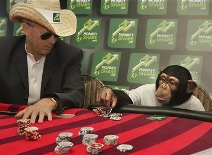 шимпанзе играет в покер, юмор