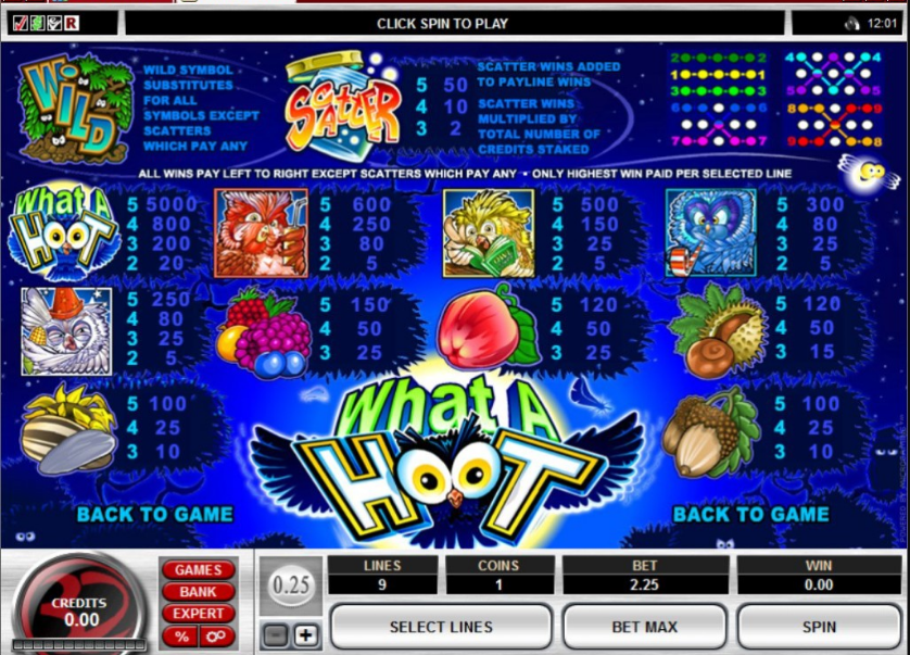 Игровой автомат What a Hoot