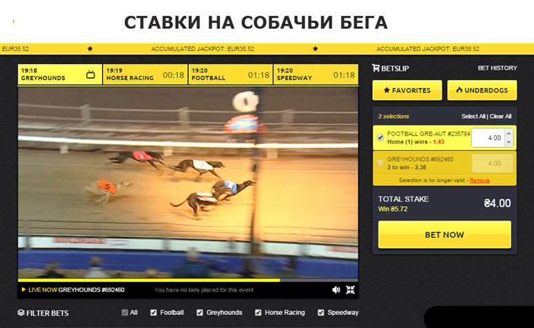 букмекерские конторы онлайн ставки на собачьи бега