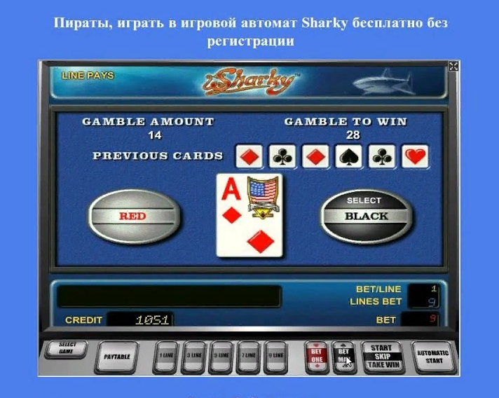 риск игра в симуляторе Шарки