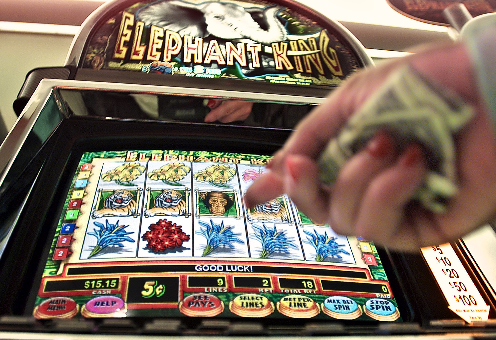 азартомания привела на скамью подсудимых