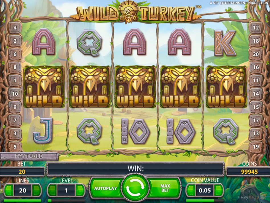 линии выплат слота Дикие индейки